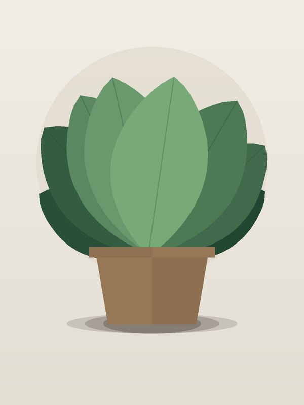 Aglaonema Cutlass