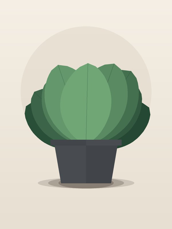 Calathea Exotica