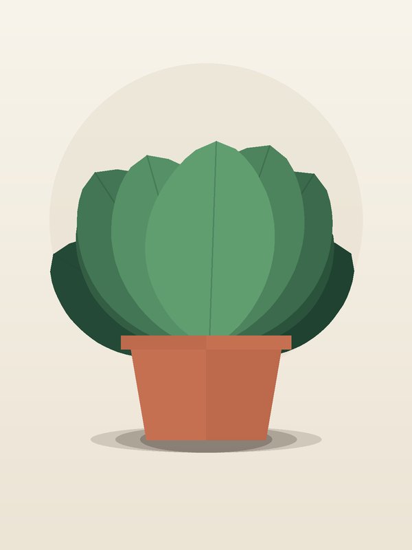 Philodendron Micans Hanging Basket
