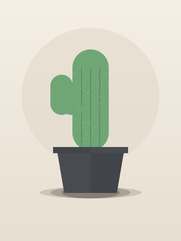 Prickly Pear Cactus