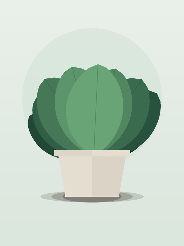 Syngonium Pixie