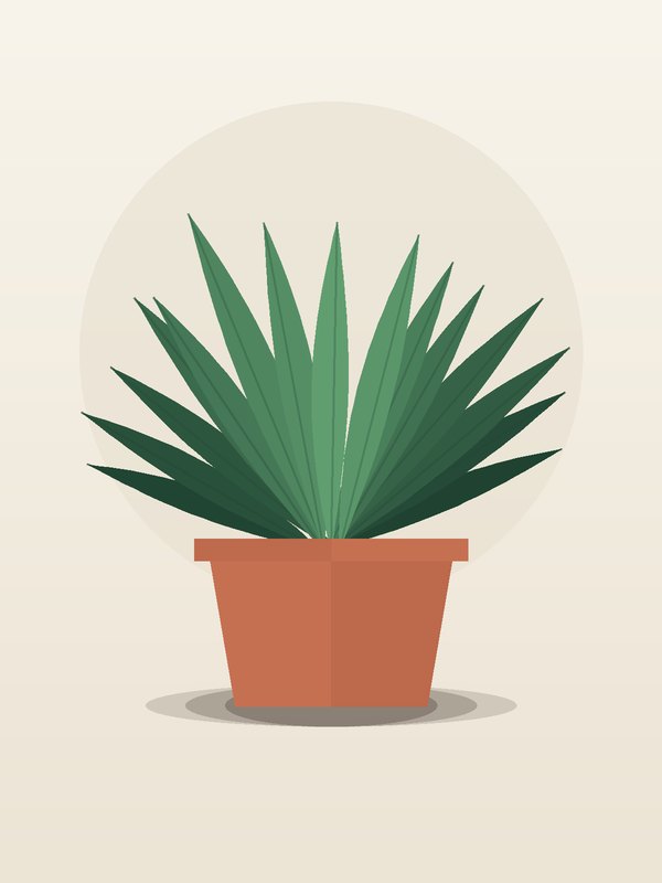 Yucca Branch